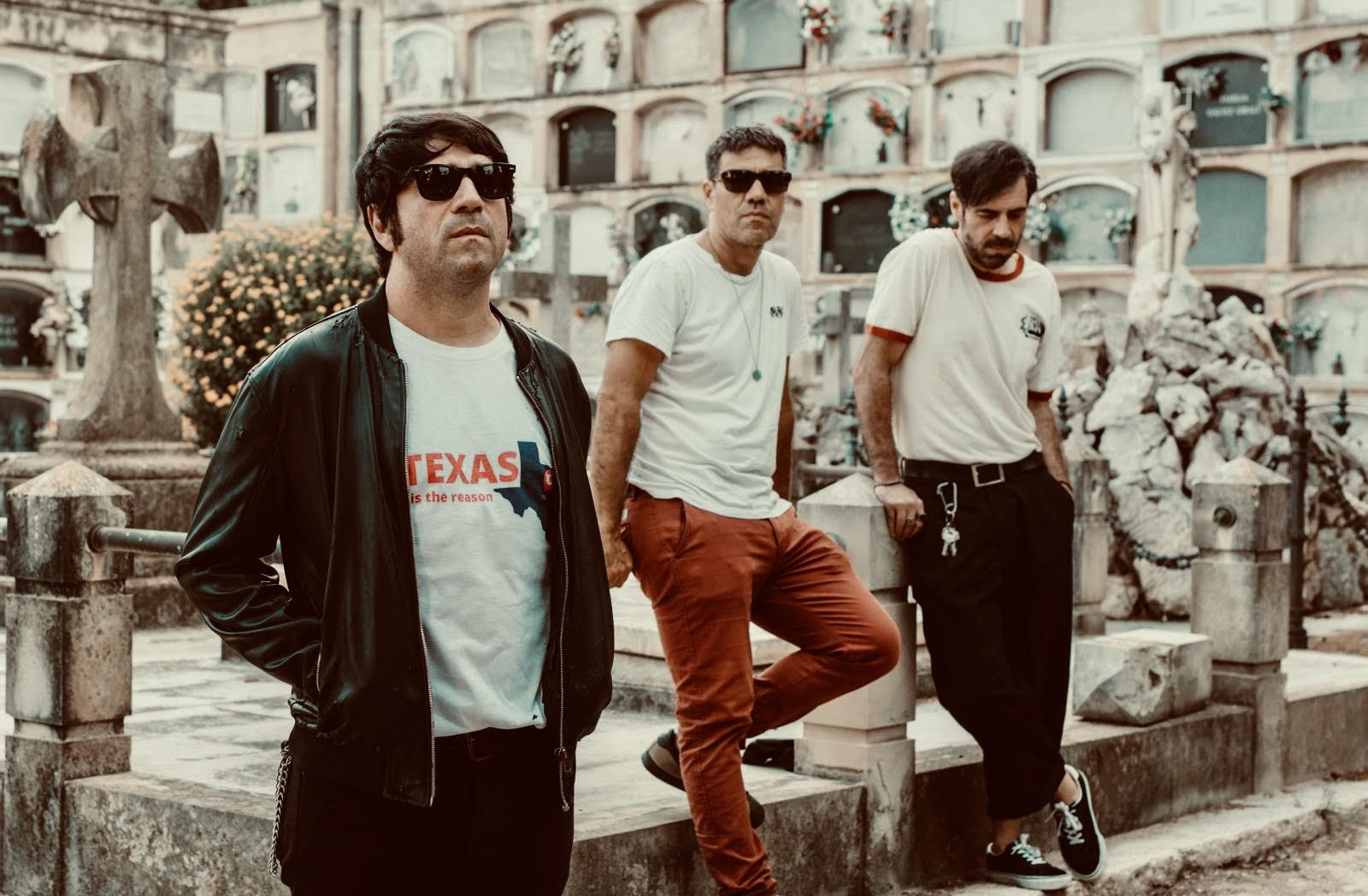 The Lions Constellation