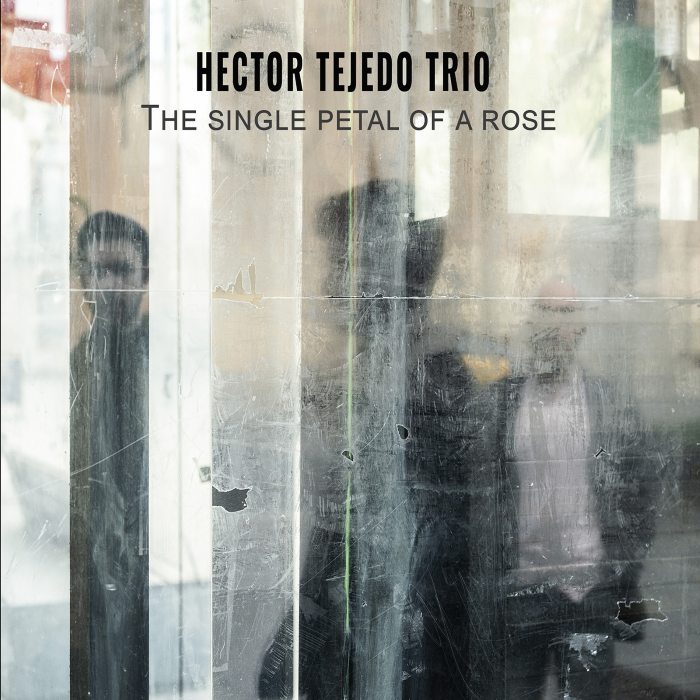 Portada The Single pPetal Of A Rose