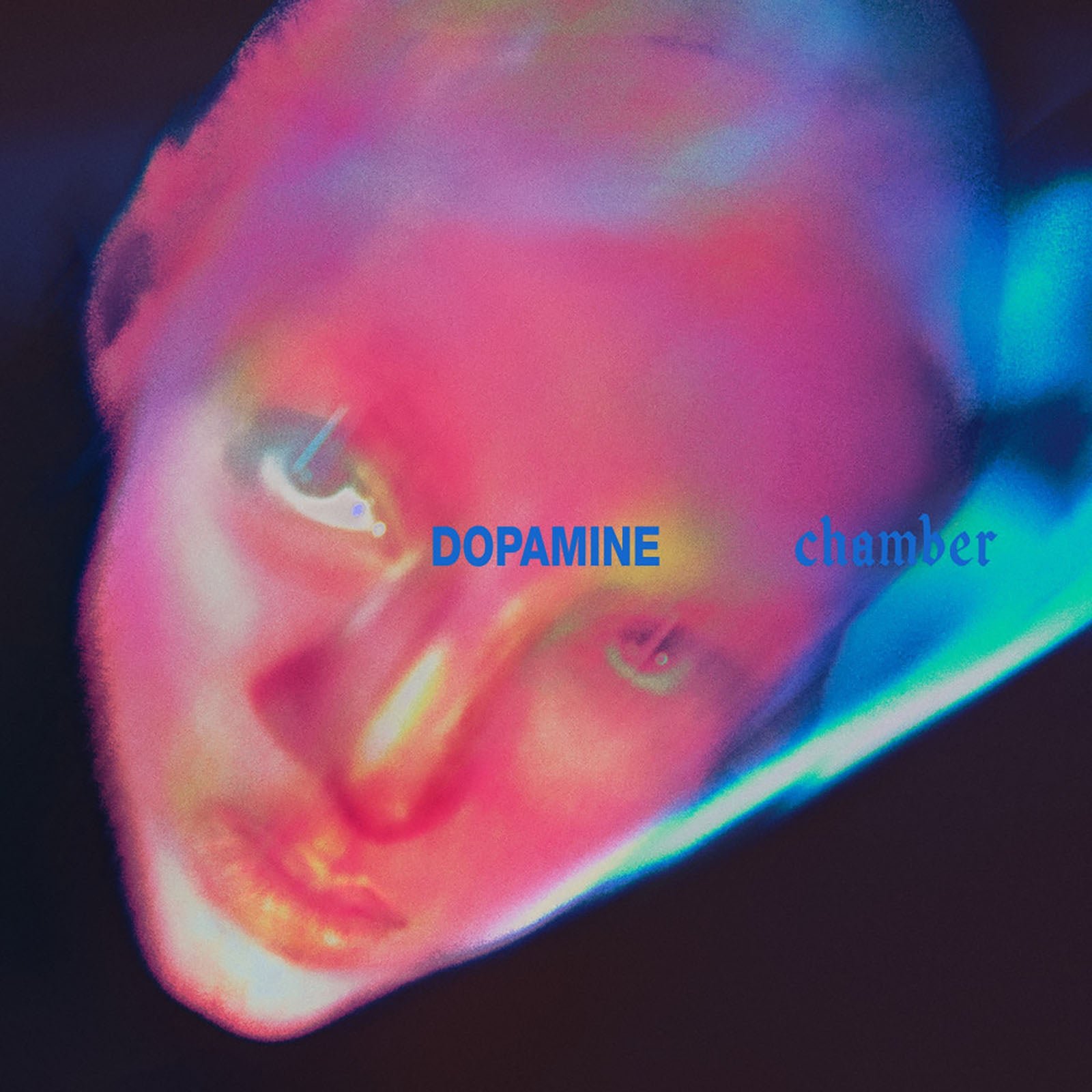Portada del álbum Dopamine Chamber de Fontaines D.C.